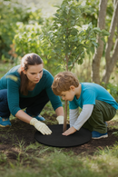 Anti-Ervas para Árvores