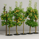 Anti-Ervas para Árvores