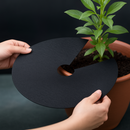 Anti-Ervas para Árvores